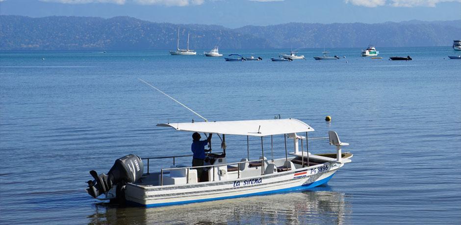 Cabinas Jimenez Puerto Jiménez 외부 사진